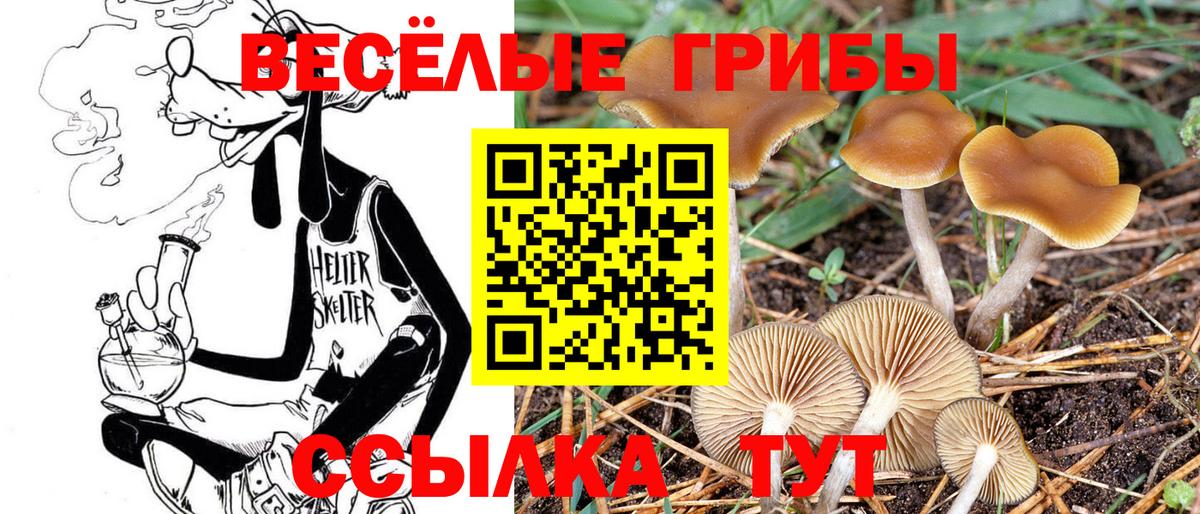 Котельники  Псилоцибиновые грибы GOLDEN TEACHER  дарнет шоп  Вход с VPN 